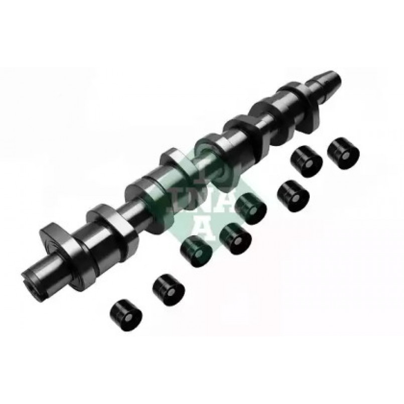 428 0039 30  INA - Комплект розподільного вала