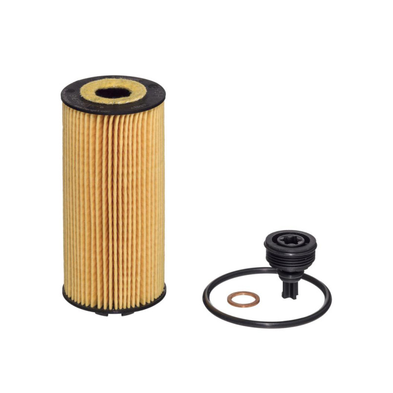 E951H D497     (HENGST)