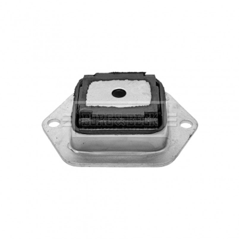 BSK6924 BORG & BECK - Сайлентблок L/R