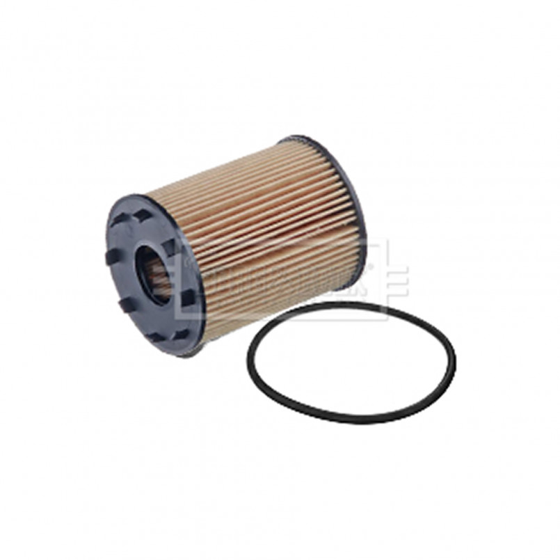 BFO4029 BORG & BECK - Фільтр оливи