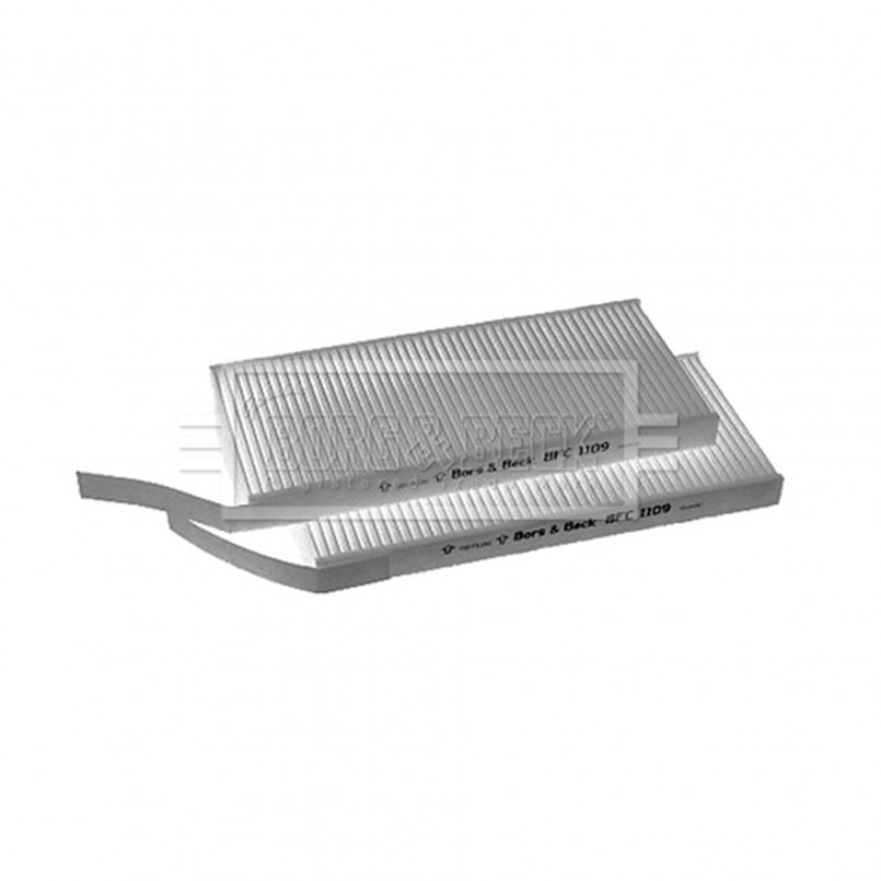 BFC1109 BORG & BECK - Фільтр салону