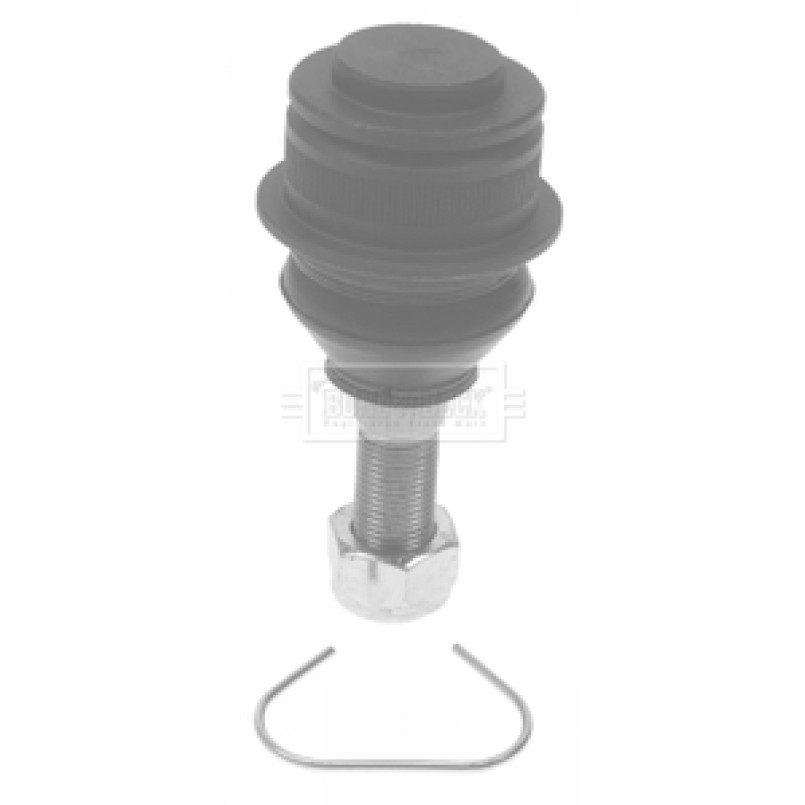 BBJ5281 BORG & BECK Кульова опора L/R