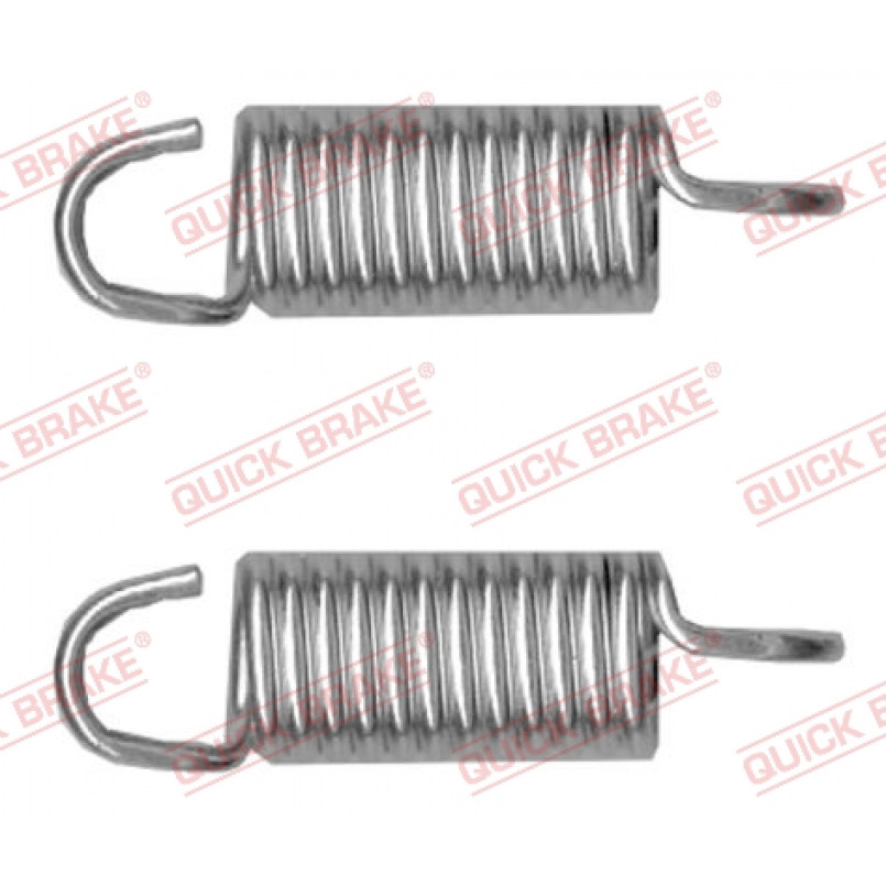 113-0525 QUICK BRAKE Пружины супорта (заднього) Renault Megane II/III/Scenic II/III 02- (К-кт L+R)