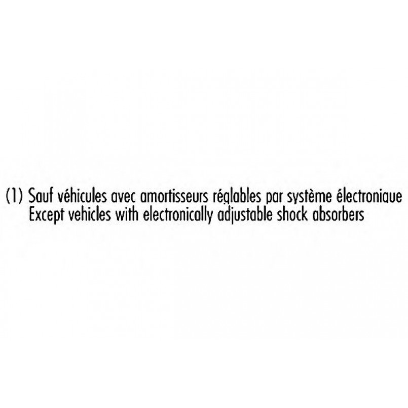 334124 Record Амортизатор GAS задній ЦІНА за 1 шт.УПАК.по 2 шт.(лівий+правий)