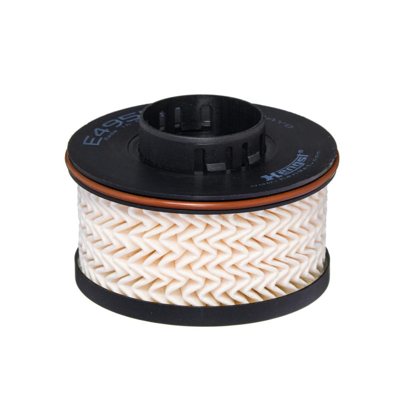 E495KP D534     (HENGST)