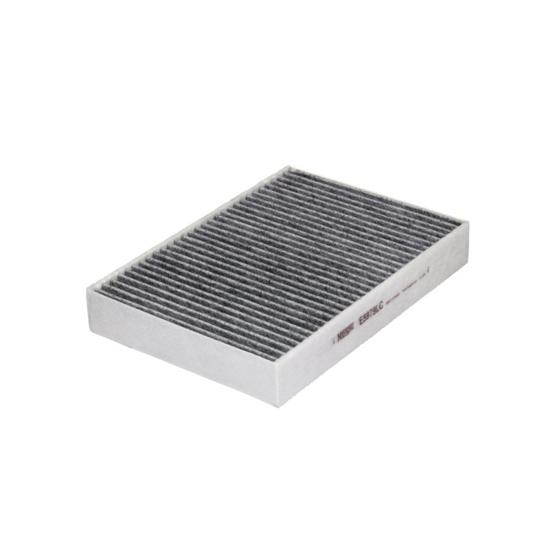 E5979LC     (HENGST)