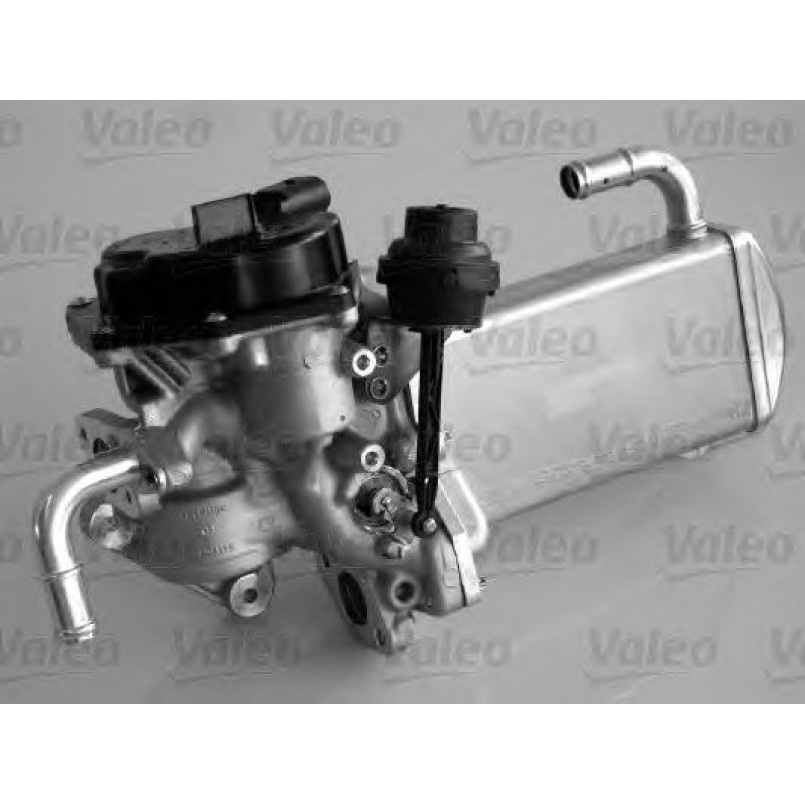 700435 VALEO КЛАПАН EGR