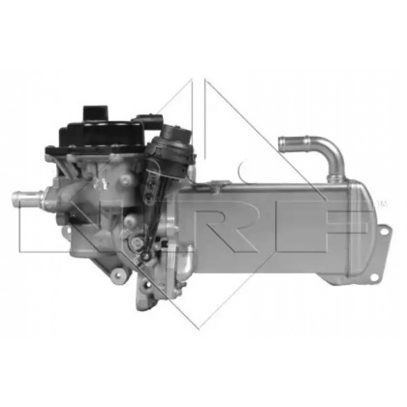 48202 NRF Клапан рециркуляції газів