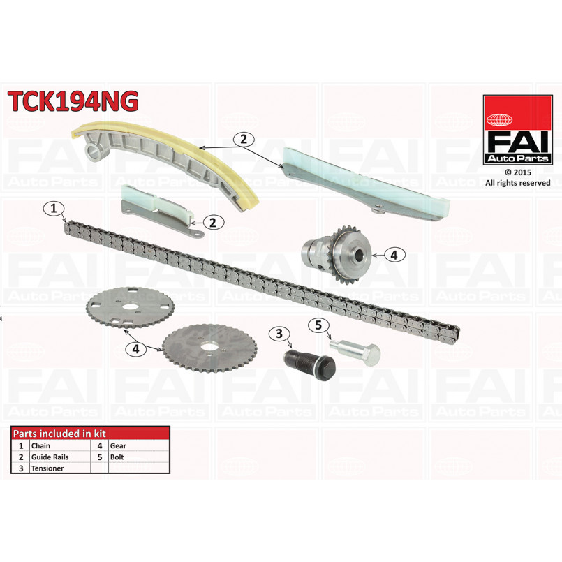 TCK194NG FAI Ланцюг ГРМ, комплект