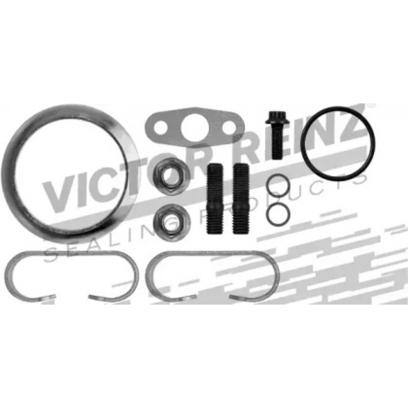 04-10025-01 Victor Reinz  Монтажний комплект турбіни VW Transporter 4 2,5TDI 95-03