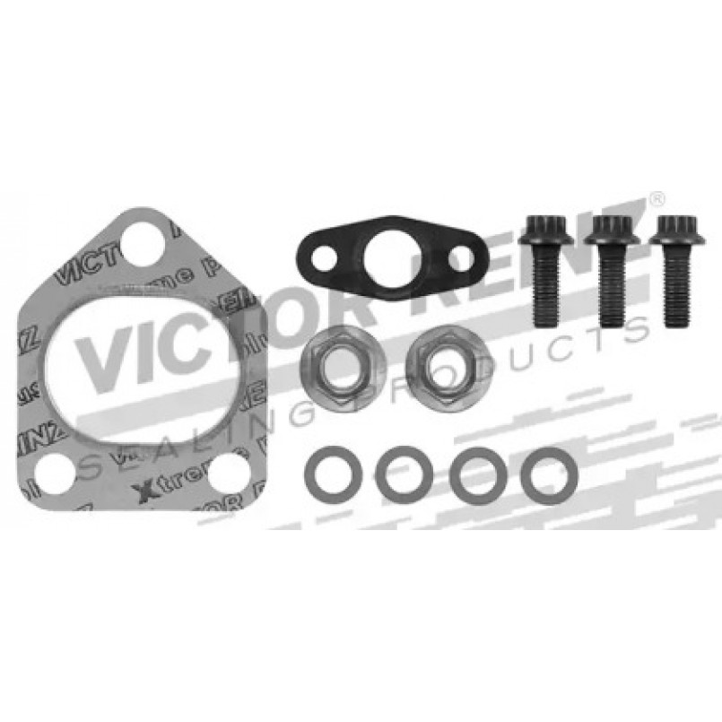 04-10029-01 Victor Reinz  Монтажний комплект турбіни