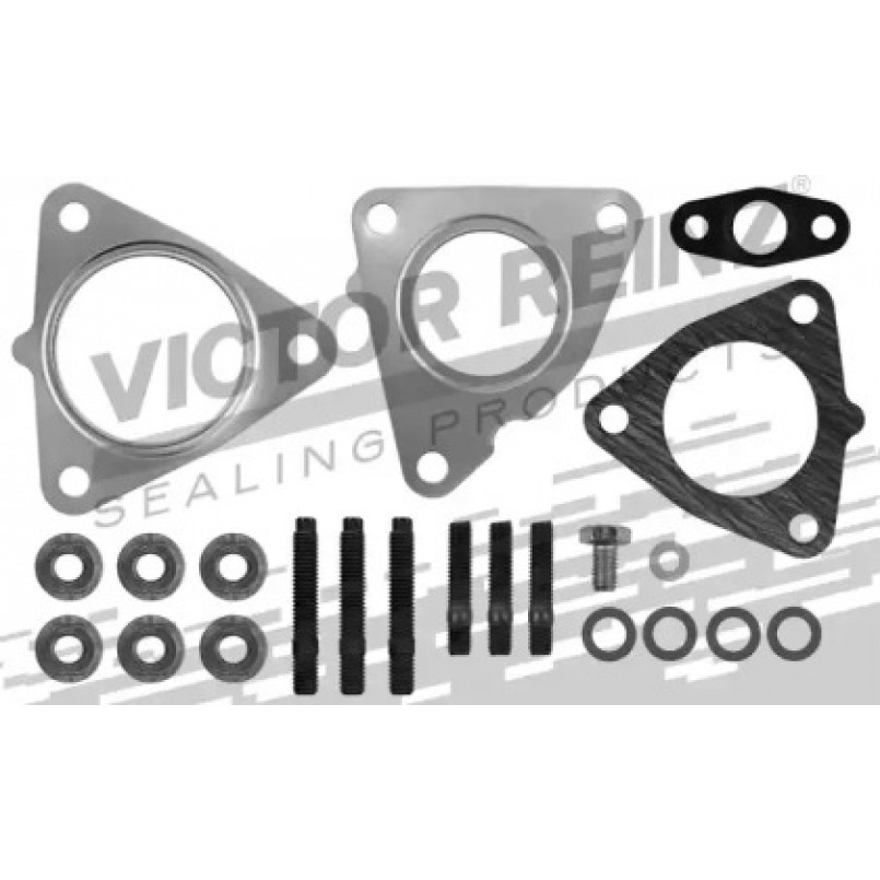 04-10193-01 Victor Reinz Комплект прокладок турбіни Renault Master 3.0 dCi 05-, ZD3 A 604