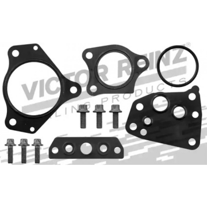 04-10195-01 Victor Reinz Комплект прокладок турбіни MB Sprinter (906) 3.0CDI 06-, OM642