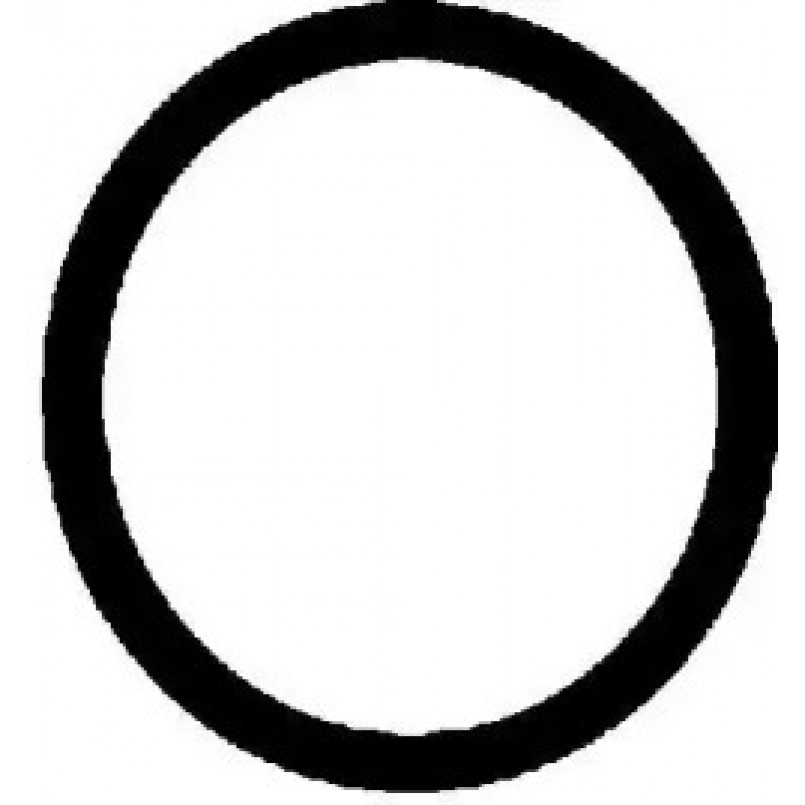 71-31649-00 Victor Reinz  Прокладка кришки клапанів DB OM 604.915 (кільце)