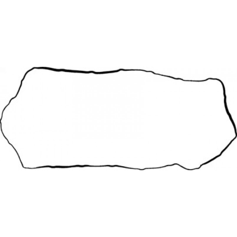 71-33971-00 Victor Reinz Прокладка, кришка головки циліндра