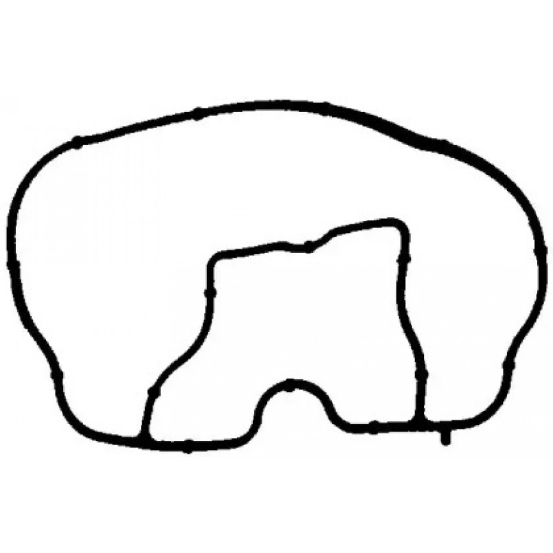 71-35543-00 Victor Reinz Прокладка впускного колектора FORD 1,3 duratec fiesta 2001-2008