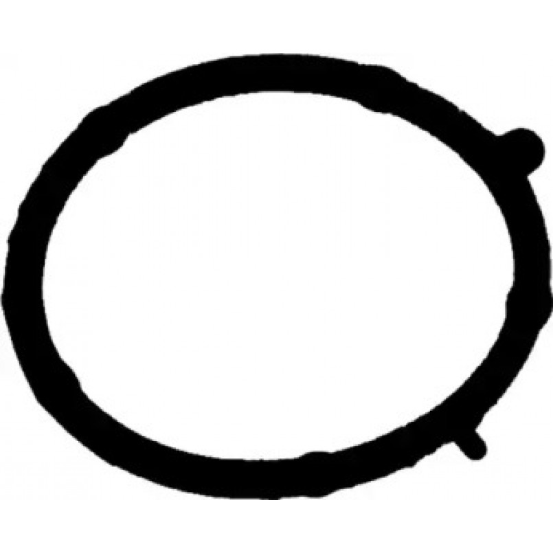 71-35681-00 Victor Reinz Прокладка колектора впускного Fiat Doblo 1.9 D 01- (верхня)