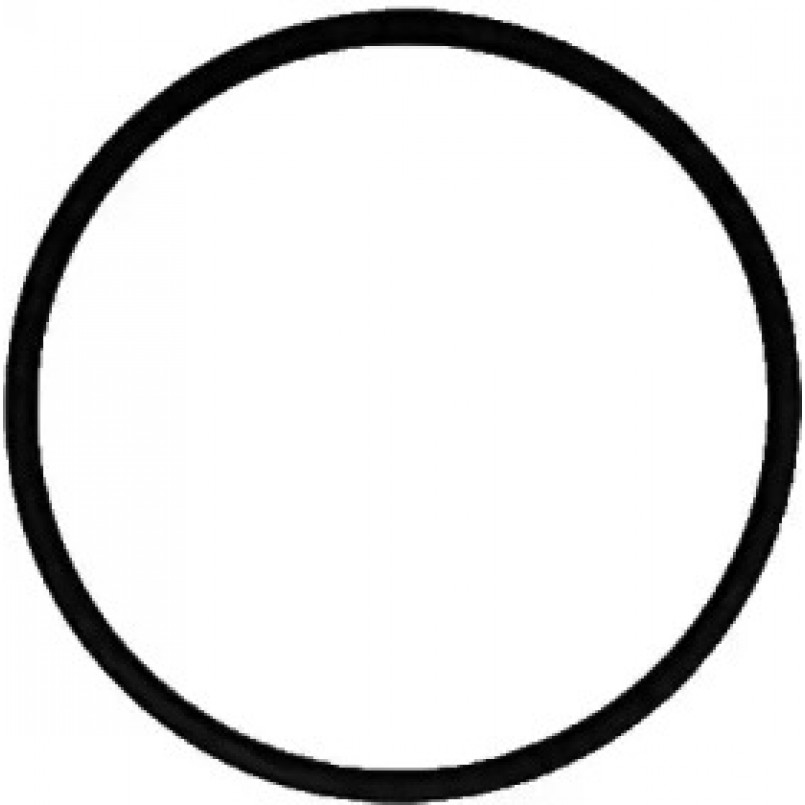 71-39303-00 Victor Reinz Прокладка колектора впускного Citroen Berlingo/Fiat Scudo/Peugeot Expert/P