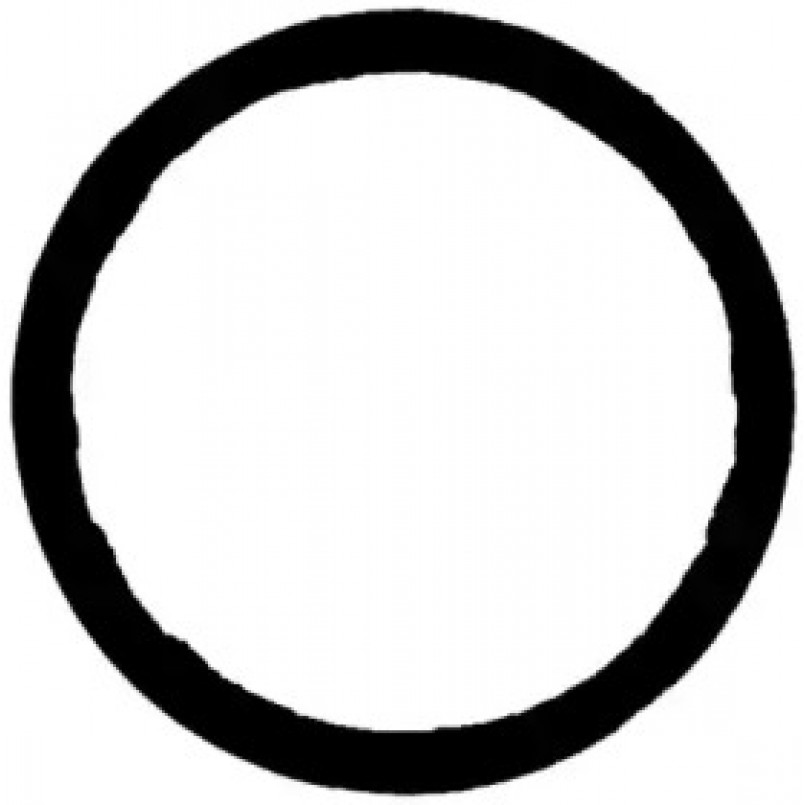 71-41343-00 Victor Reinz Прокладка труби вихлопної системи (2 шт, на авто) BMW N43B16A, N43B20A