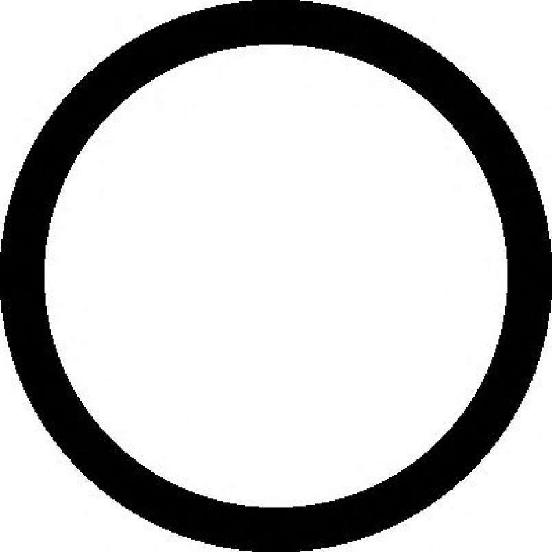 542.400 ELRING Прокладка колектора впускного VW Polo 1.2i 01-09