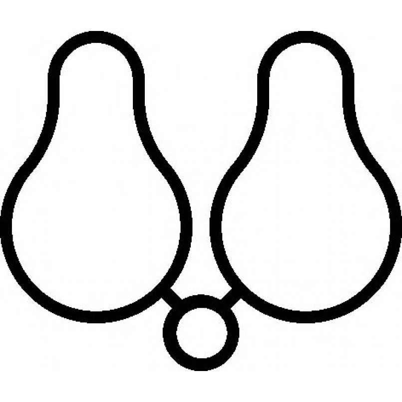 505.020 ELRING Прокладка колектора