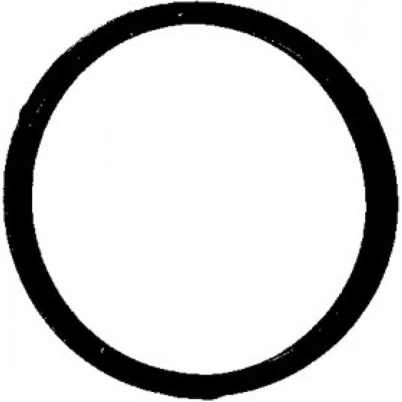 447.260 ELRING Прокладка термостата MB OM601-602