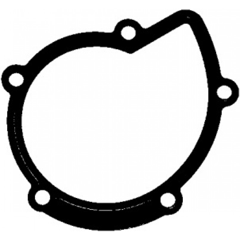 394.280 ELRING Прокладка помпи води Citroen Jumper/Jumpy/Peugeot Boxer/Expert 2.0/2.2 HDi 02-