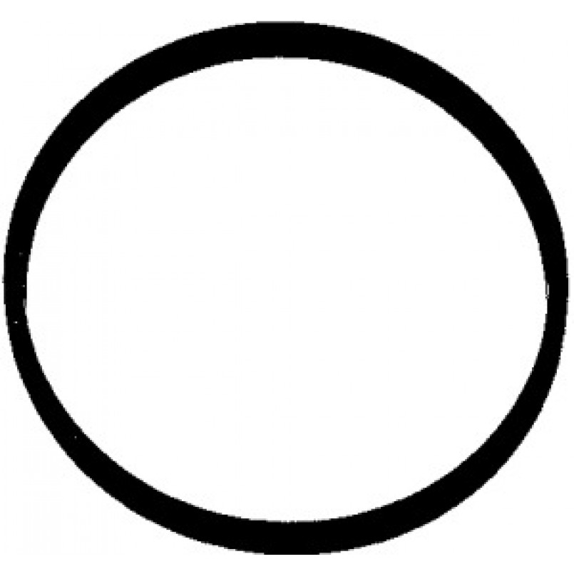 216.790 ELRING Прокладка колектора