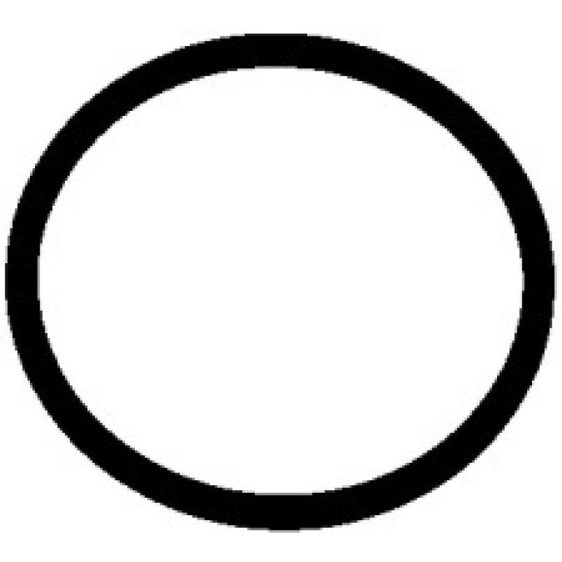 174.270 ELRING Прокладка насосу паливного Audi/VW/Ford/MB/Opel/Renault (31.5x2mm)