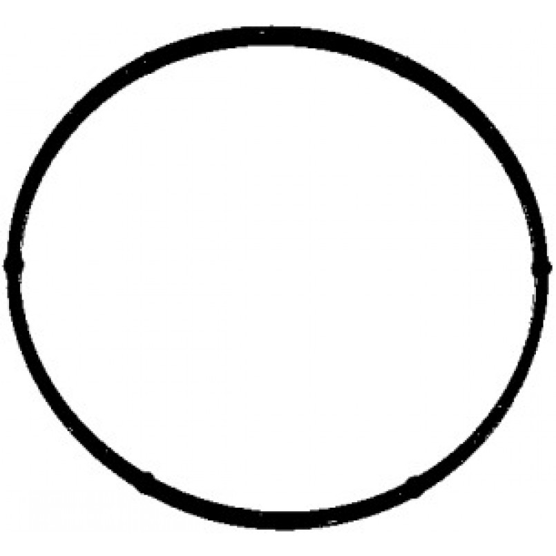 104.200 ELRING Прокладка помпи води Opel Astra/Combo/Vectra/Zafira 95-