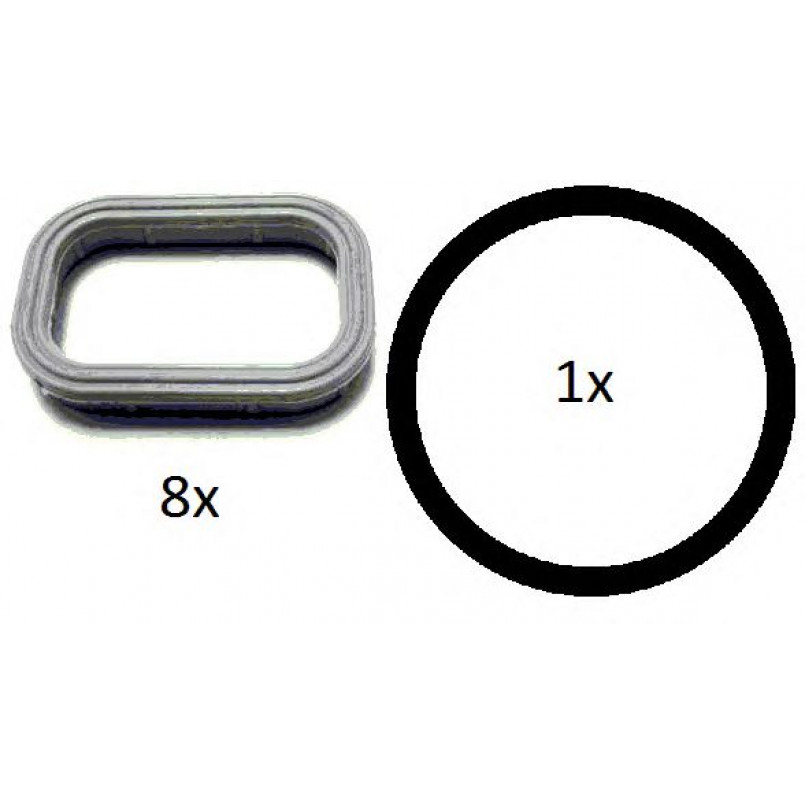 052.110 ELRING Комплект прокладок колектора впускного Ford Transit 2.0/2.4 DI 00-06