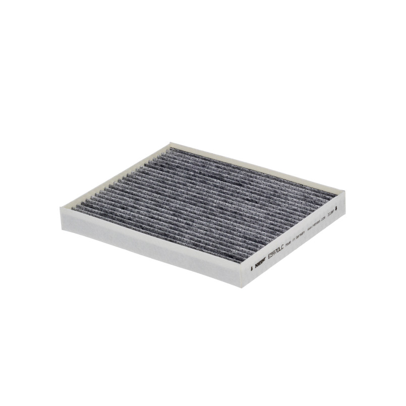 E5970LC     (HENGST)