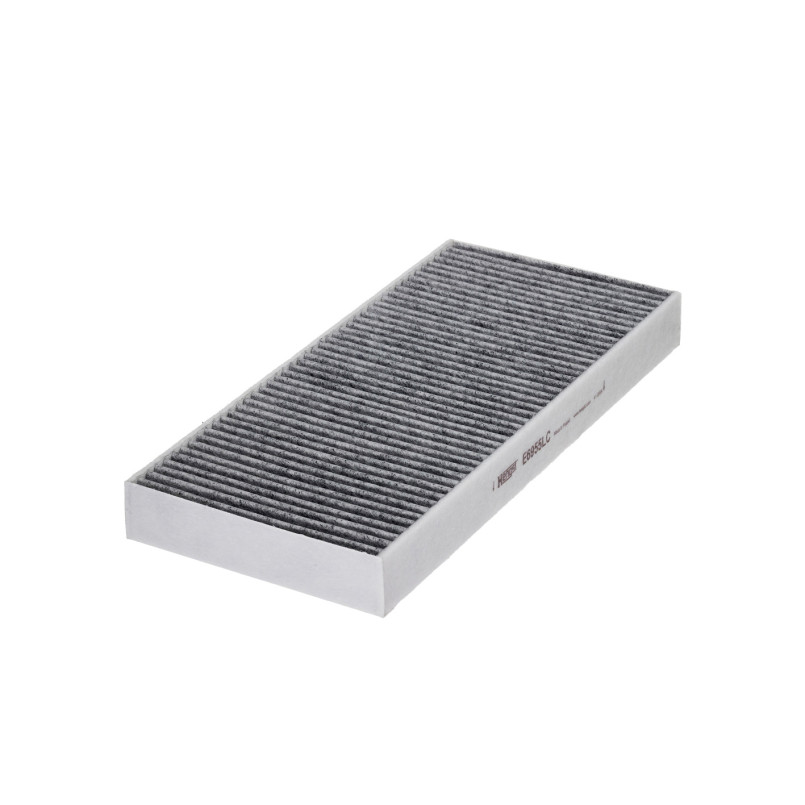 E6955LC     (HENGST)