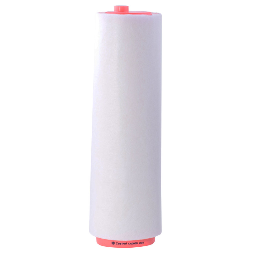 CA0009 Фільтр повітря (Castrol)