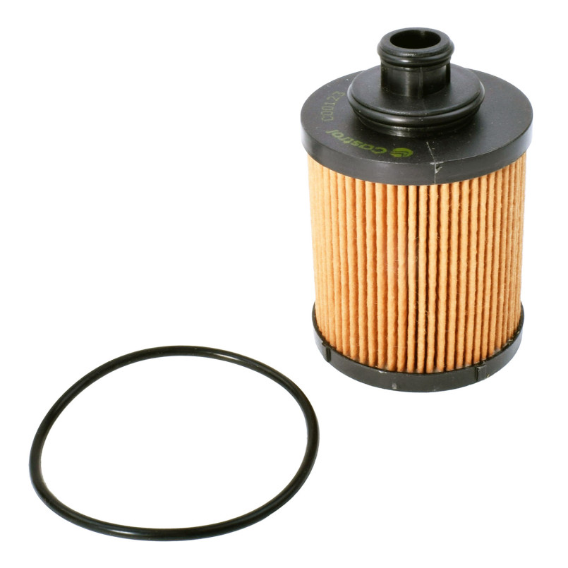 CO0123 Фільтр масляний (Castrol)